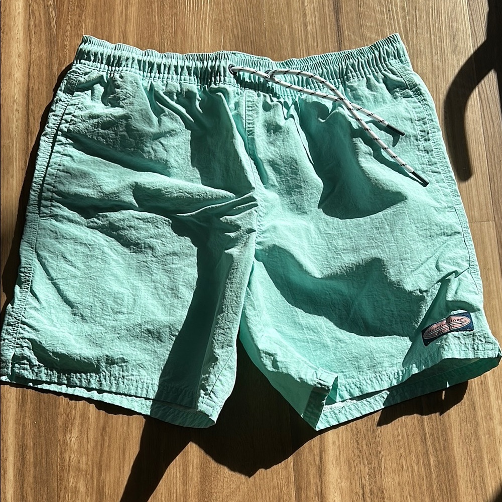 Men's Light Green Swim Shorts